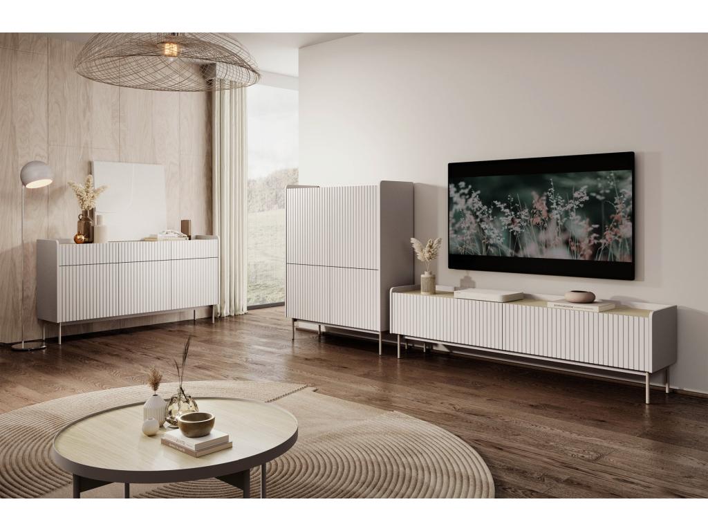 Mobile TV in metallo a 2 ante