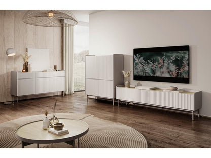 Mobile TV in metallo a 2 ante